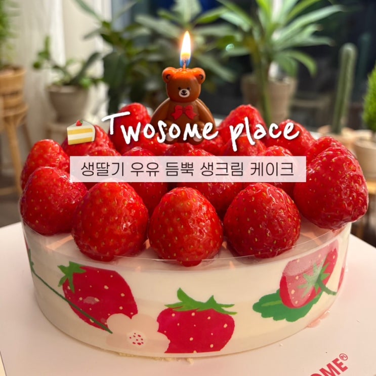  투썸 생딸기 듬뿍 우유 생크림케이크 쁘띠 가격 예약 솔직후기
