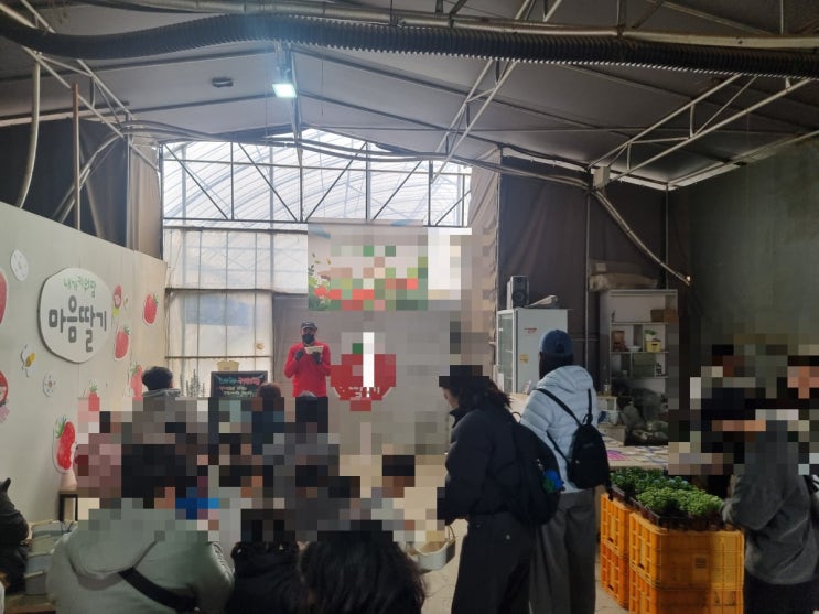  창원 딸기체험 내가키워팜