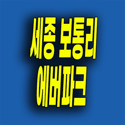  세종 보통리 에버파크 확정분양가 민간임대아파트 모델하우스 방문