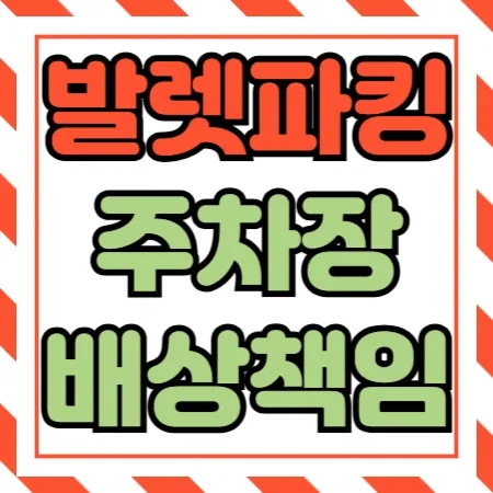  주차장배상책임보험의 발렛파킹,렌트비,인접도로사고 보상 가능한가?