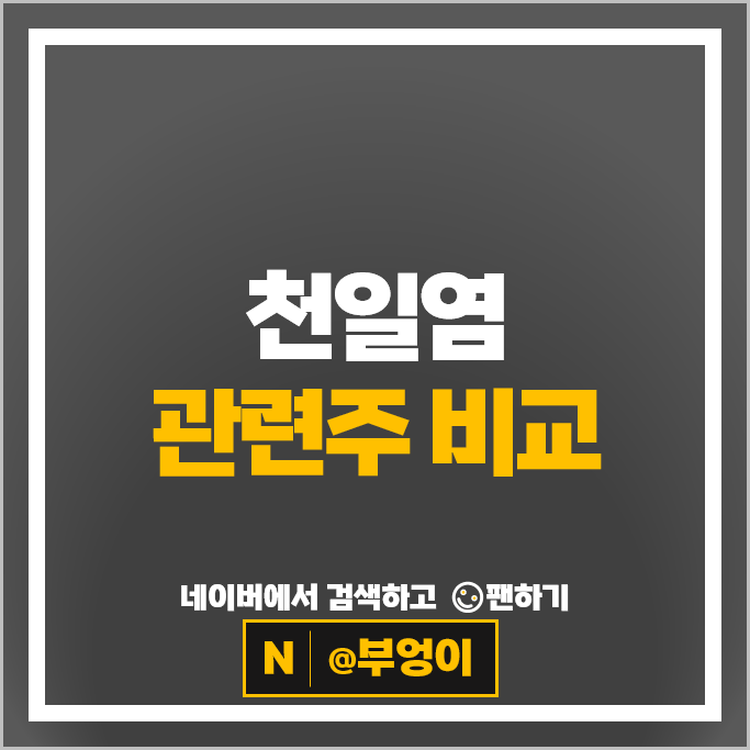 소금 천일염관련주 보라티알 인산가 주식 PER PBR 시가총액 순위