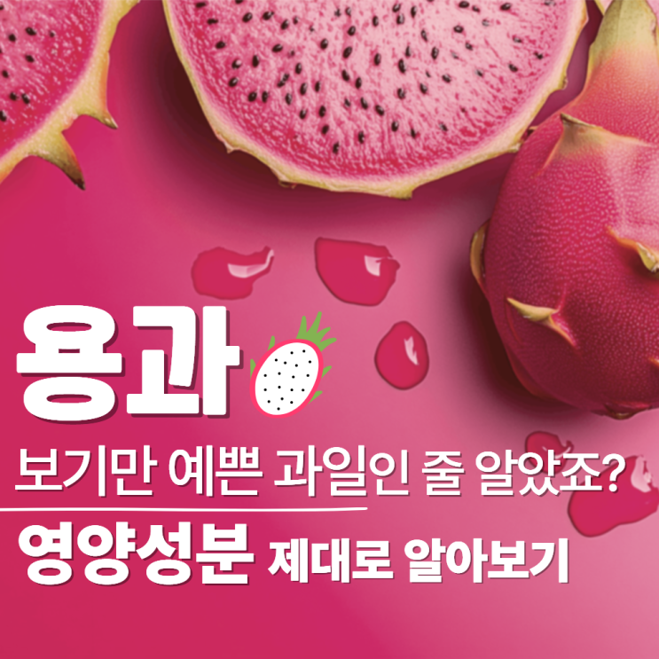  용과 효능 먹는법 보관법 손질 칼로리