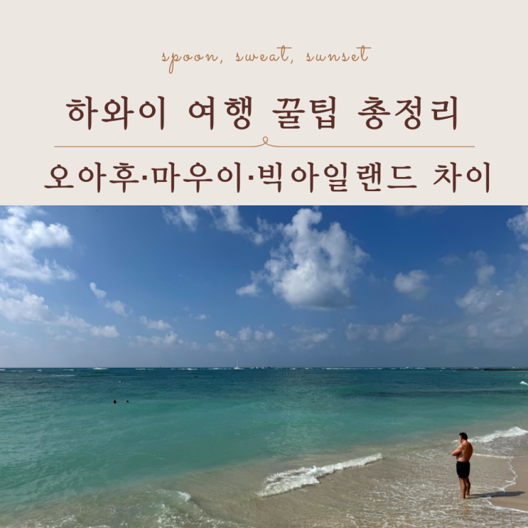  하와이 여행 꿀팁 총정리, 섬 선택부터 사전 예약까지