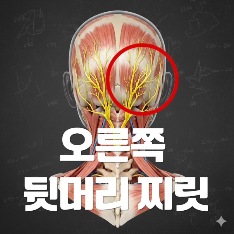 오른쪽 뒷머리 찌릿, 통증 원인부터 치료방법까지