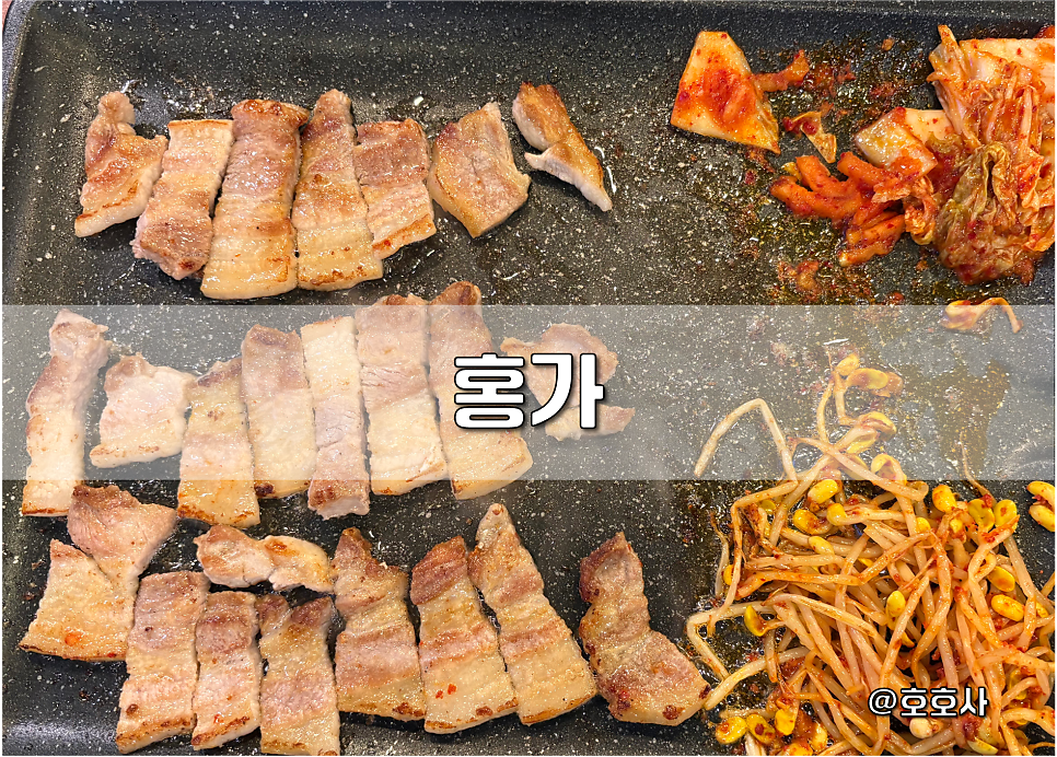 홍가 사진 1