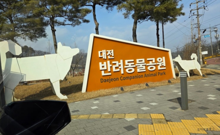  대전 반려동물 공원 솔직 후기 무료입장, 시설·관리·규칙까지 완벽했던 반려견 놀이터