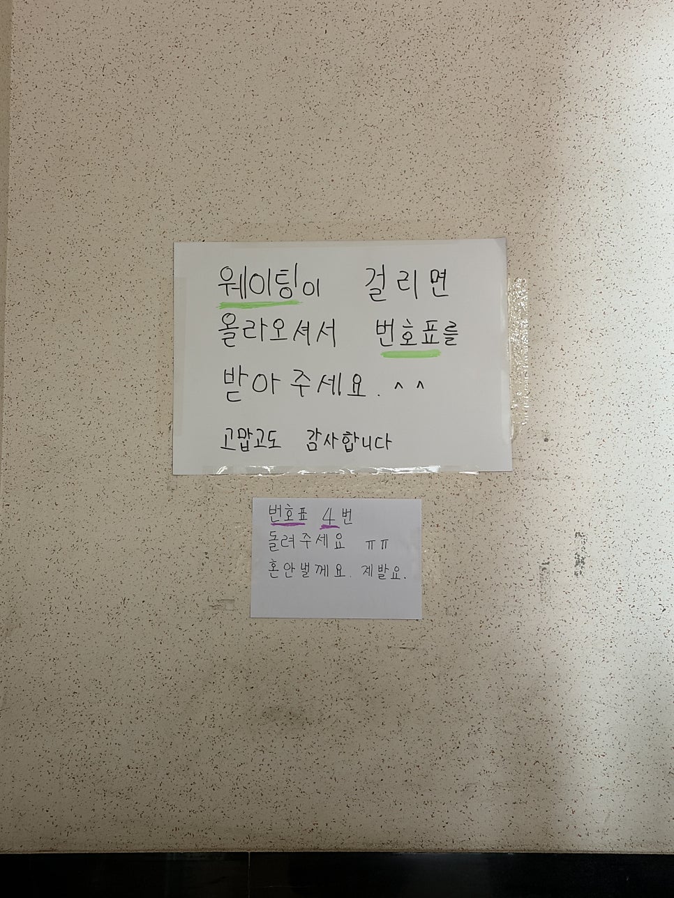 다송칼국수 사진 3