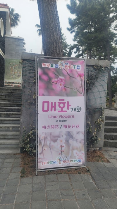 사진 6