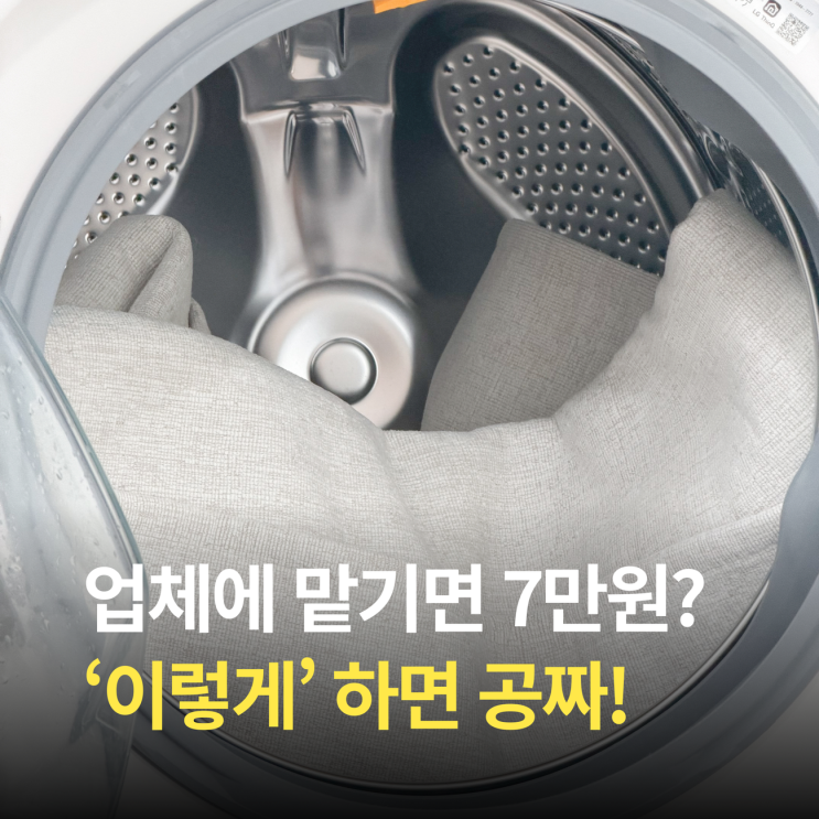  '이게' 핵심! 카페트 러그 세탁기 건조기 세탁법
