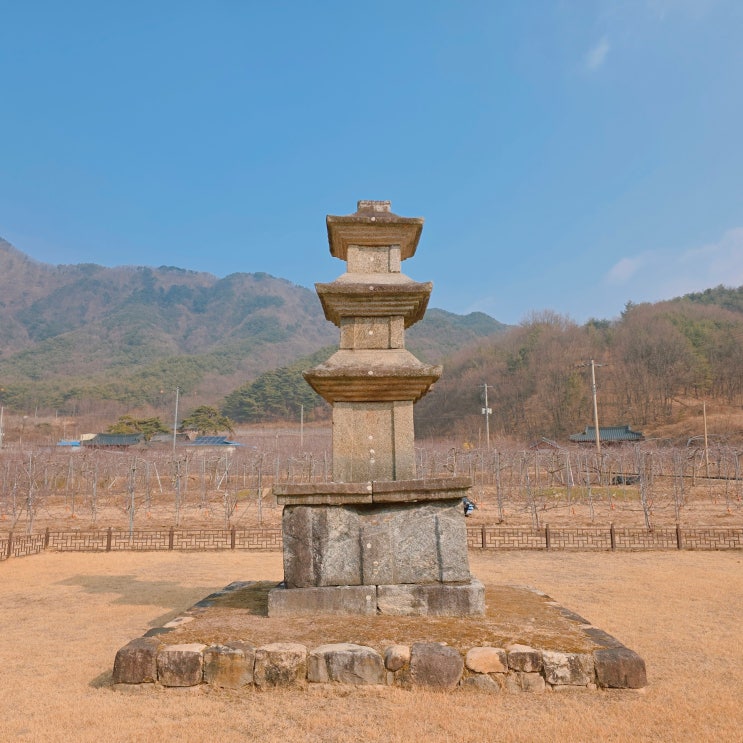  문경 내화리 삼층석탑 보물 제51호 통일신라시대 석탑 + 천연기념물 대하리 소나무