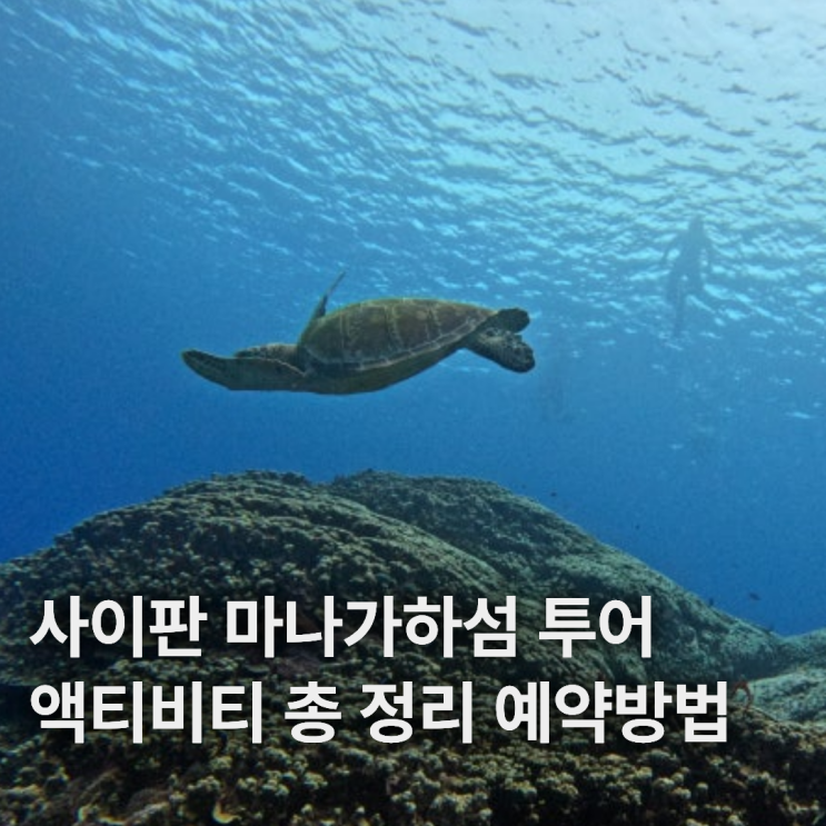  마나가하섬 투어 액티비티 페러세일링 거북이 스노클링 예약방법 시간