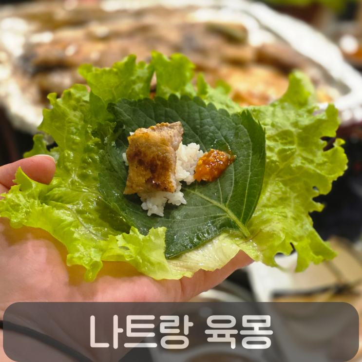  나트랑 한식당 추천 육몽, 삼겹살 김치찌개 후기 가격 전체 메뉴