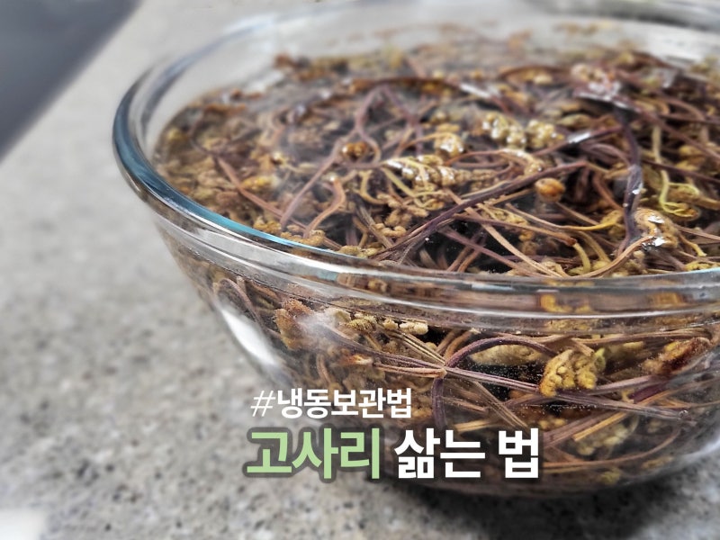 알아두면 평생 쓰는 마른 고사리나물 삶는 법 건조 고사리 삶기 냉동 보관법