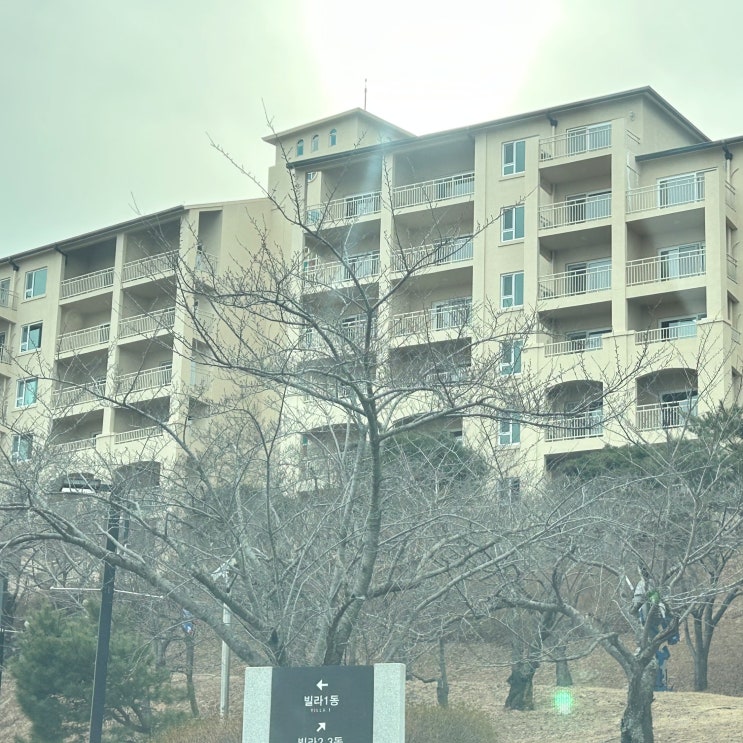  울산 대가족 숙소 추천 성수기 20만원대 마우나리조트 30평 투룸 후기