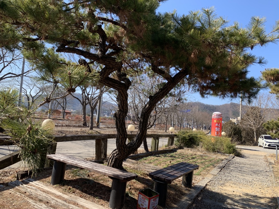 식물나라 사진 4