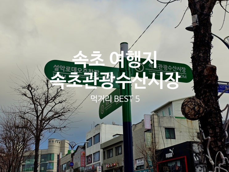  속초관광수산시장 주차장 정보와 꼭 먹어야 할 먹거리 BEST 5