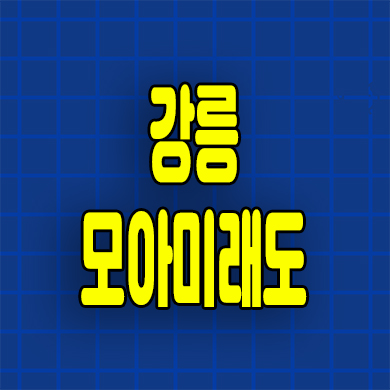  강릉 모아미래도 미분양아파트 견소동 줍줍 잔여세대 선착순