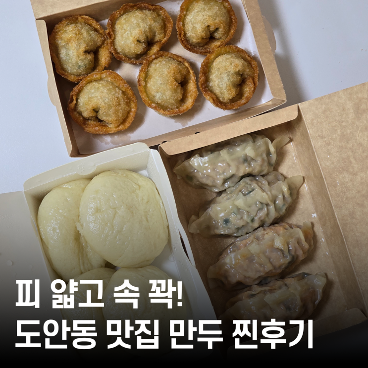  도안동 맛집 찾는다면요｜사랑애 뚱만두 포장 꿀팁까지요