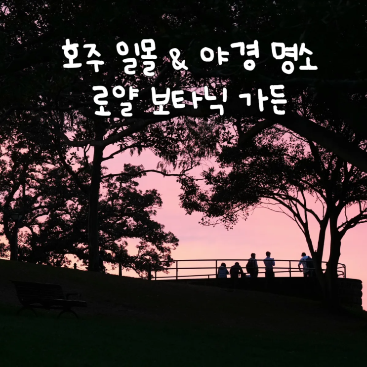  시드니 로얄보타닉가든 오페라하우스 호주여행 야경 일몰명소