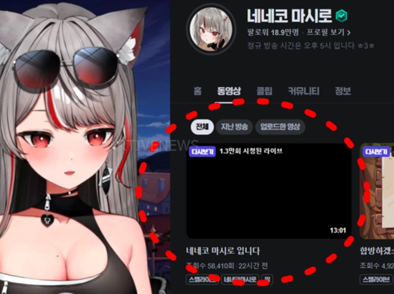 치지직 네네코 마시로 고소 댓글 논란 후 사과 방송 중요한 발언 내용 눈길 (빨간약, 실물, 시....
