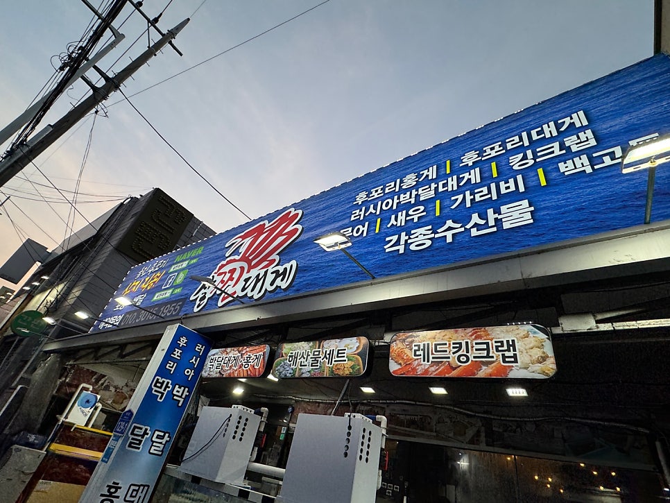 살찐대게 사진 3