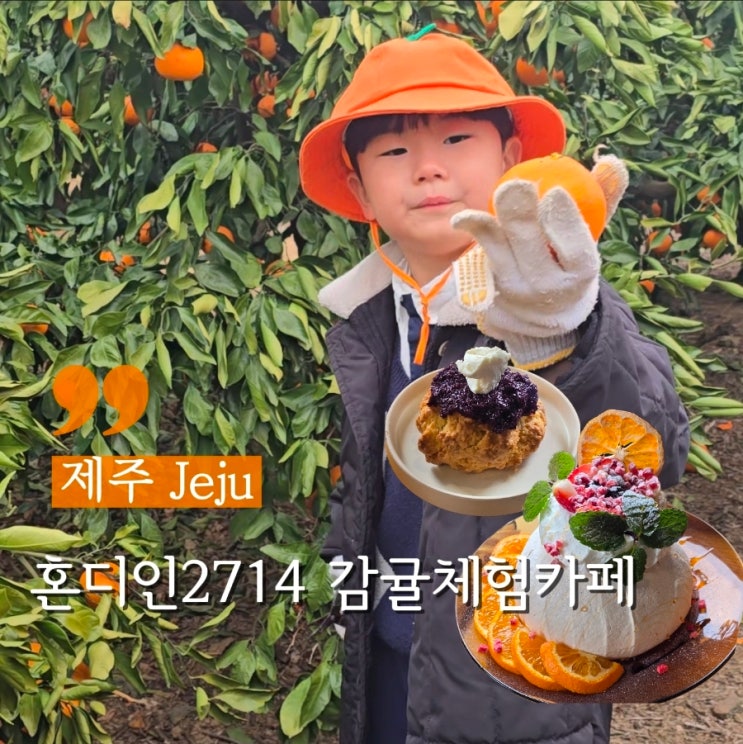  제주 아이랑가기좋은 혼디인2714 감귤체험카페