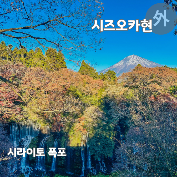  도쿄 근교 시즈오카 여행 후지산 추천 여행지 시라이토 폭포