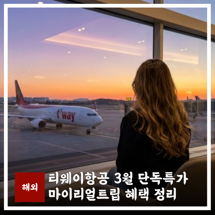  티웨이항공 단독특가 3월 혜택 수화물 내용 모르면 무조건 손해!