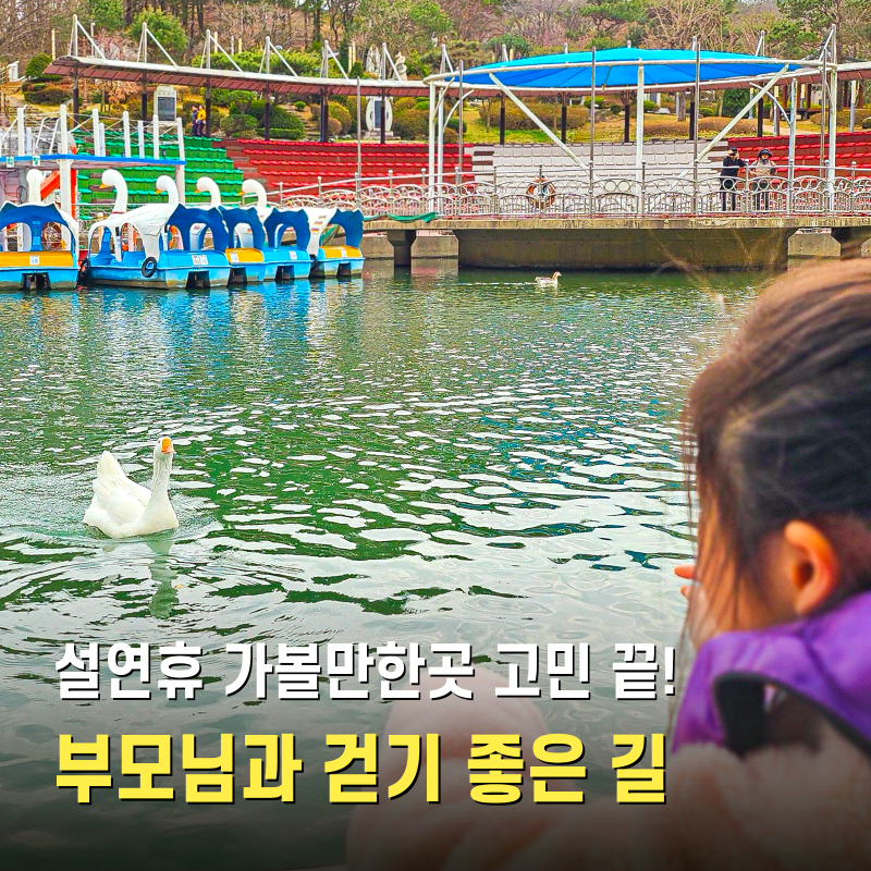 사진 6