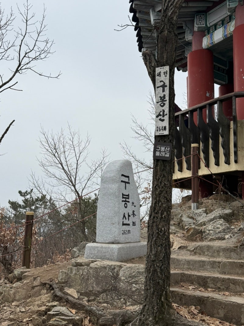 대전 구봉산, 빼울약수터 코스 등산후기