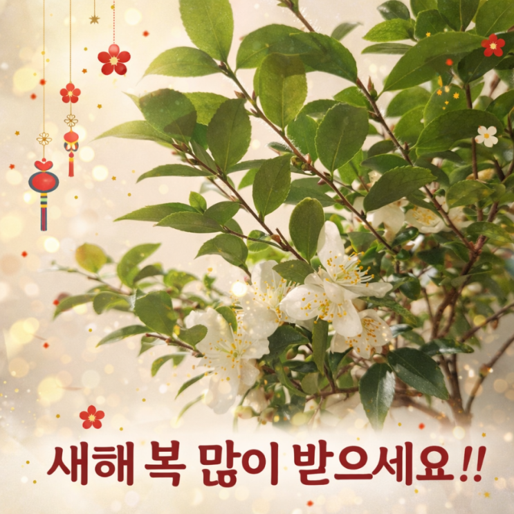  새해 복 많이 받으세요 !!