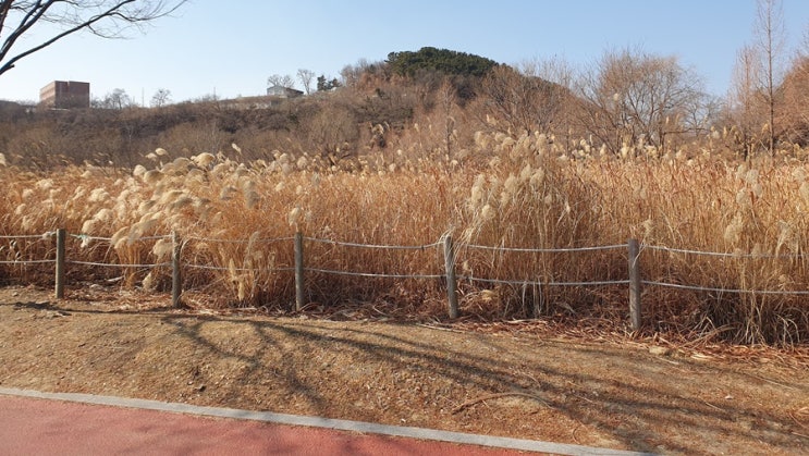  멘토 멘티 뜻 차이 정확히 알고 쓰자