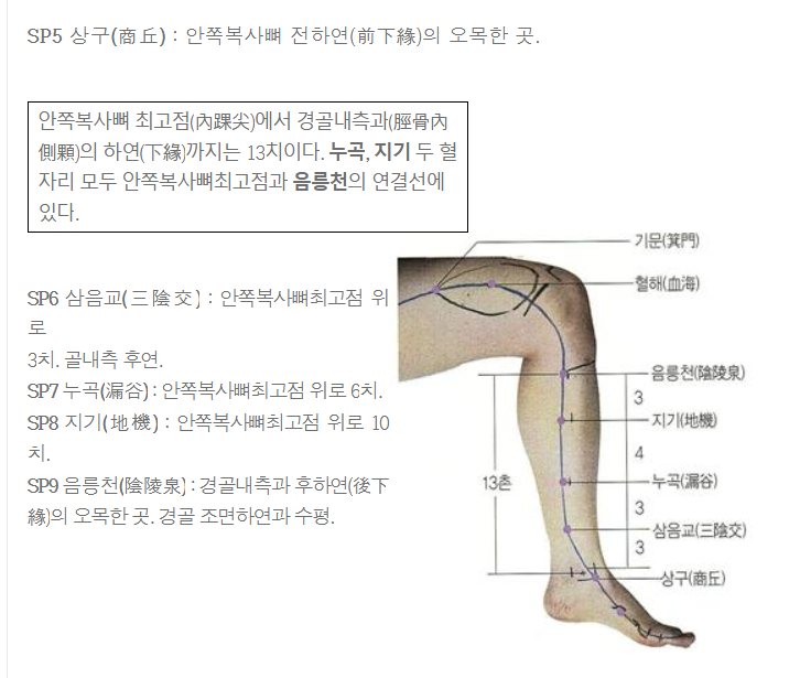 사진 7