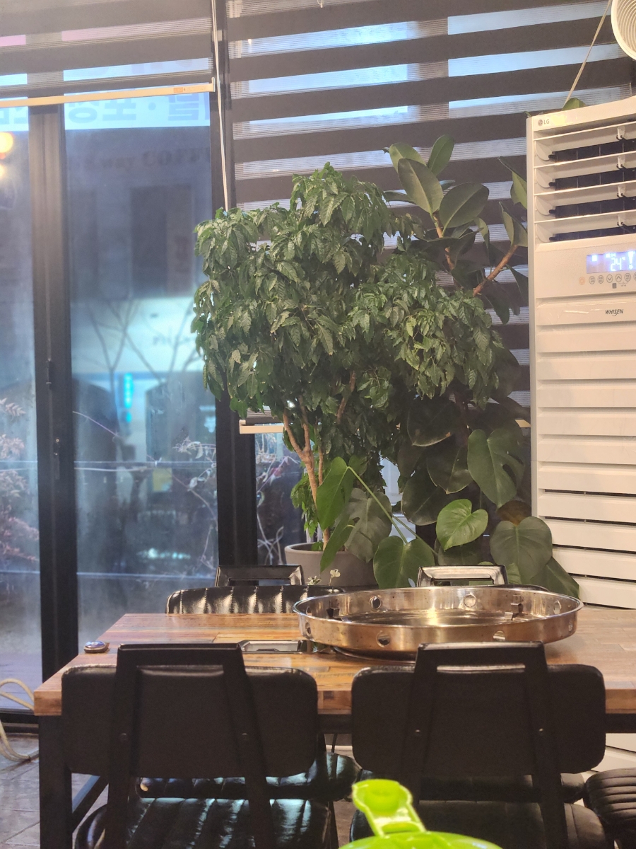 봄내닭갈비 사진 2
