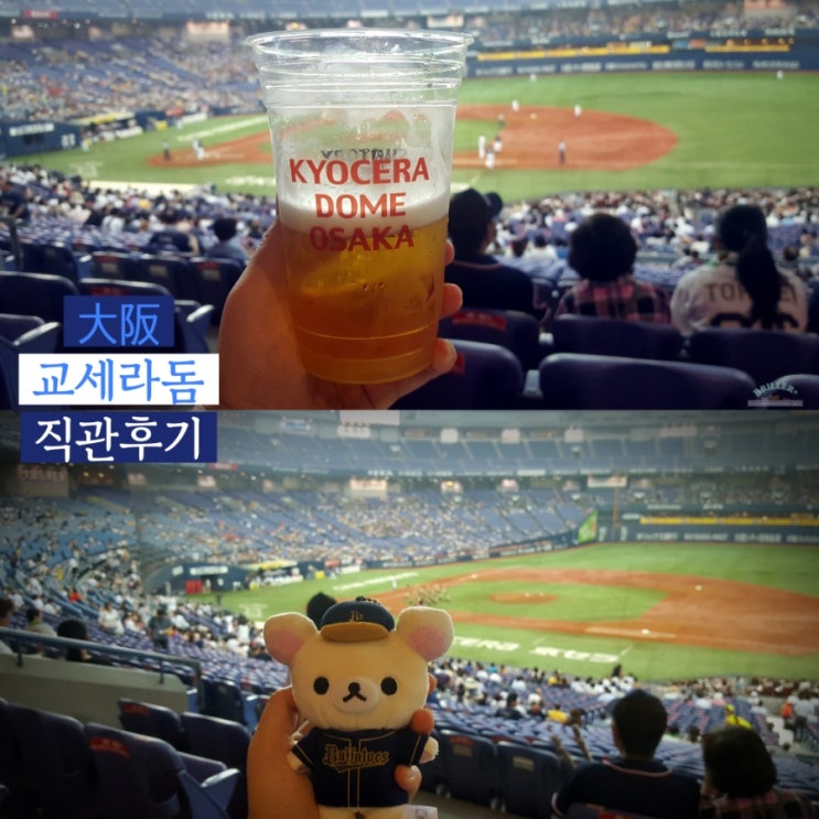 오사카 교세라돔 야구장 직관 후기 오릭스 vs 소프트뱅크 경기 ft. 1층 A지정석 시야, 맥주걸