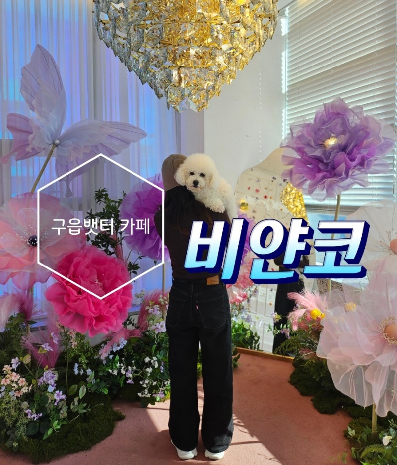영종도 구읍뱃터 카페 애견동반하기 좋았던 비얀코