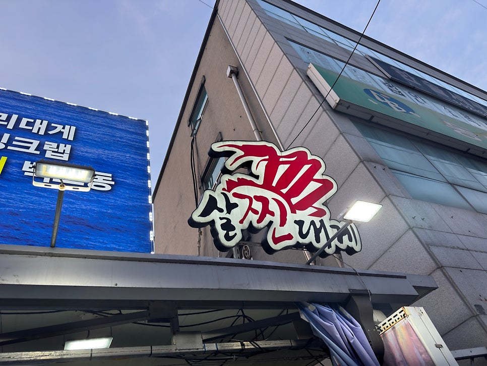 살찐대게 사진 2
