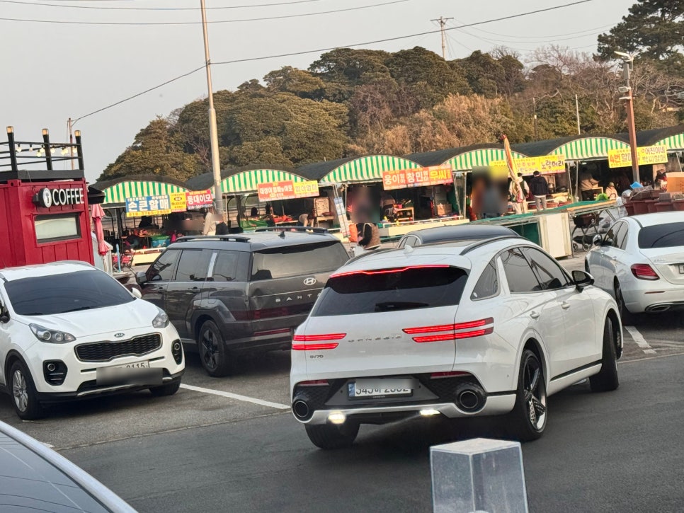 나루터연화 사진 2