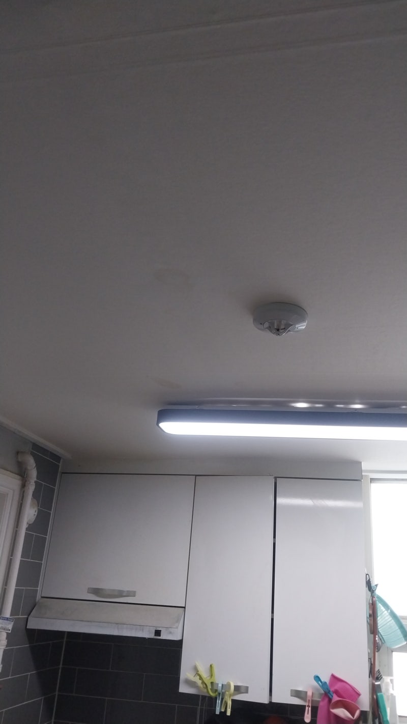 💧 서울 양천구 신정동 저층 아파트천장에 물자국… 하지만 완전히 건조 상태 → 배수구 역류 일시 누수 판정
