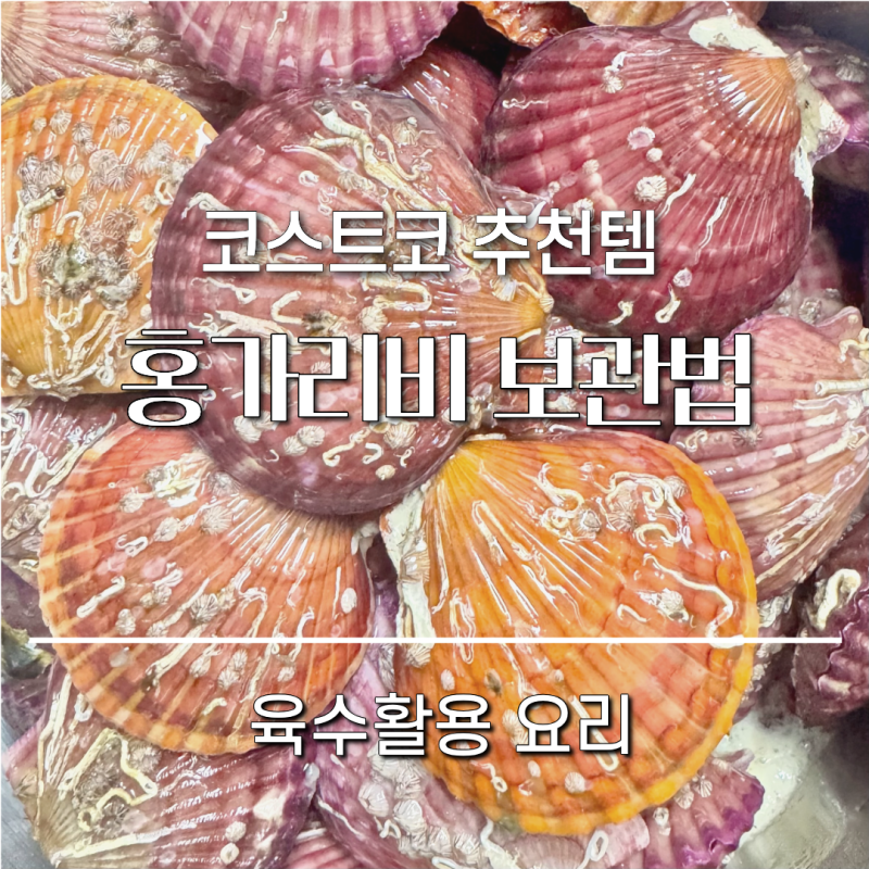 코스트코 추천템 홍가리비 보관법과 홍가리비 요리