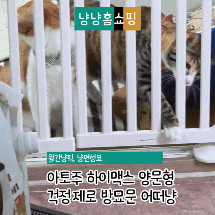  아토주 하이맥스 185cm 양문형 방묘문 후기 압도적 높이와 이중 잠금으로 걱정 제로