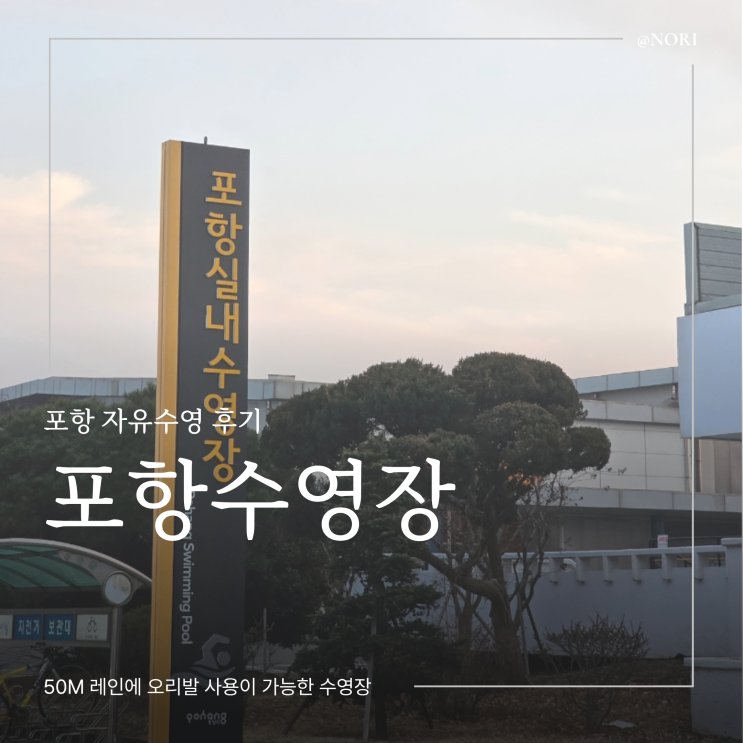  포항실내수영장 자유수영 후기 오리발 사용가능