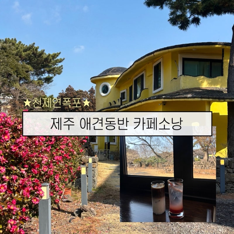 사진 5