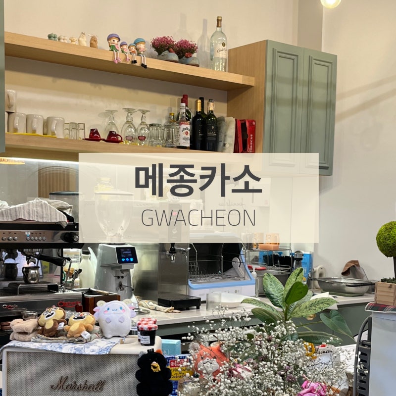 사진 5