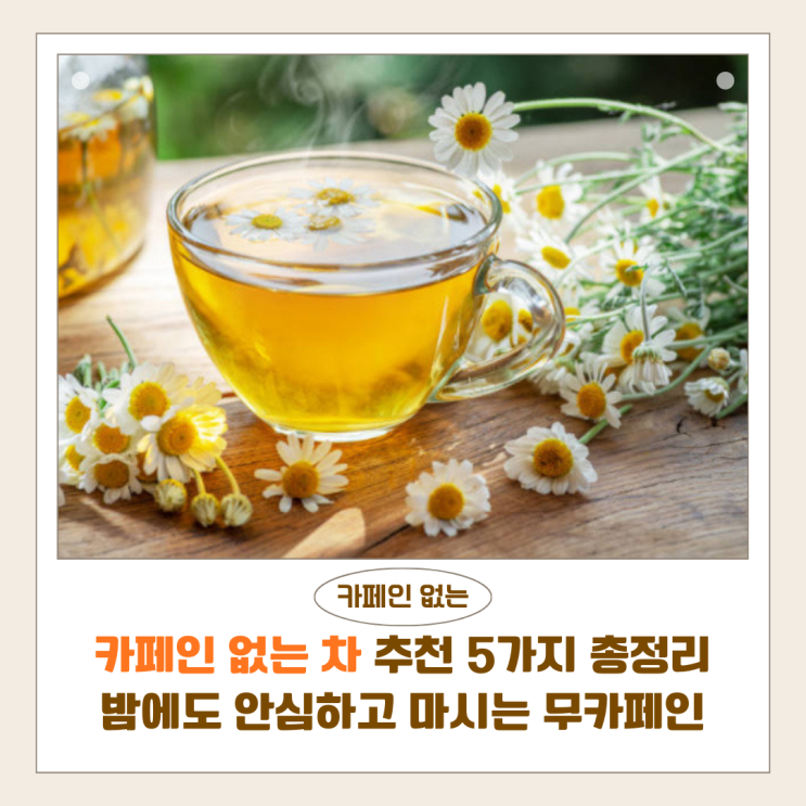  카페인 없는 차 추천 5가지 총정리｜밤에도 안심하고 마시는 무카페인 건강차