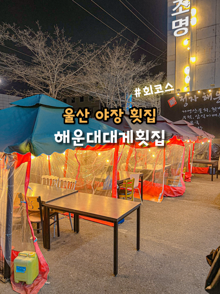  울산 남구 횟집 해운대대게횟집 야장 포차 회 코스 꽉 찬 스끼다시