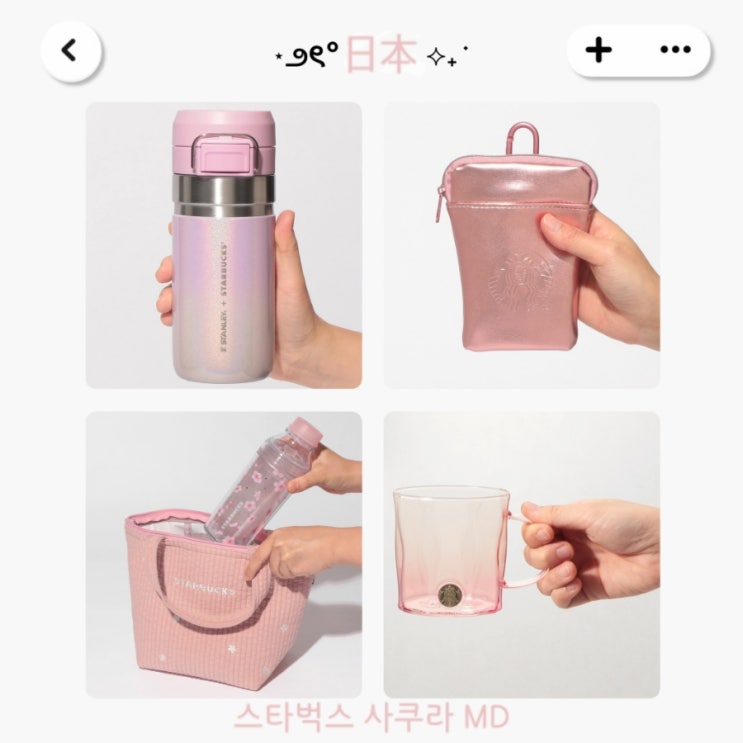  일본 스타벅스 사쿠라 텀블러 MD 출시 정보 ft. 리저브 로스터리 도쿄 한정 벚꽃 템 추가