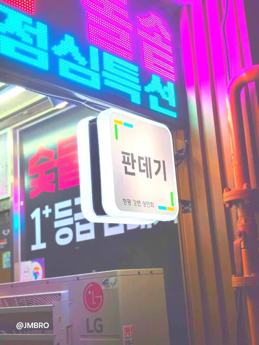 판때기 사진 3