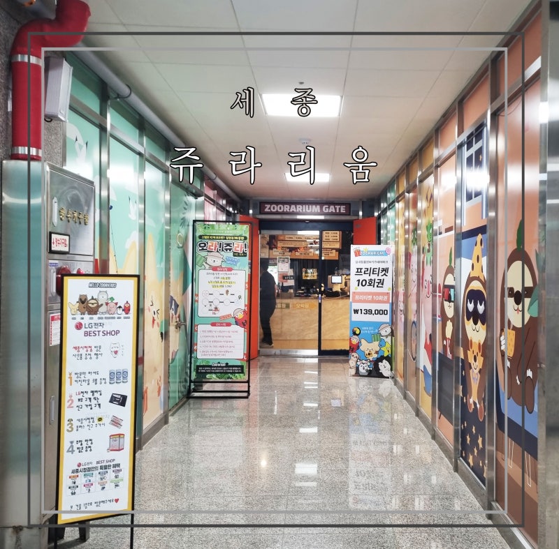 세종 실내 동물원 쥬라리움 가성비 좋은 키즈카페