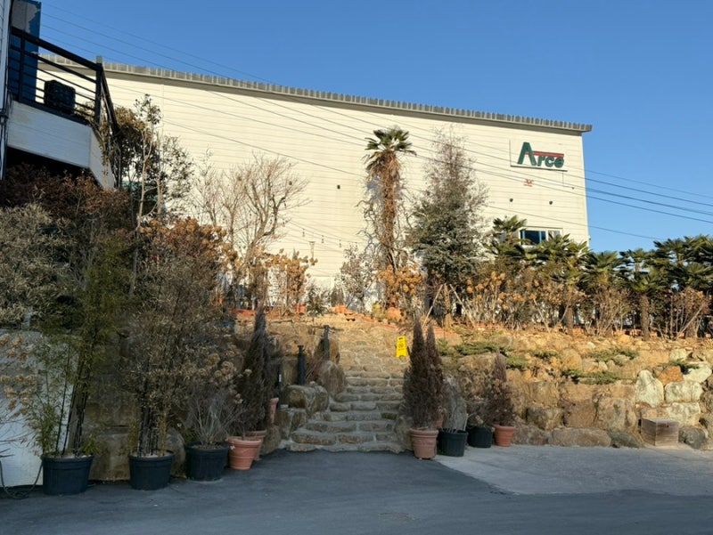 사진 5